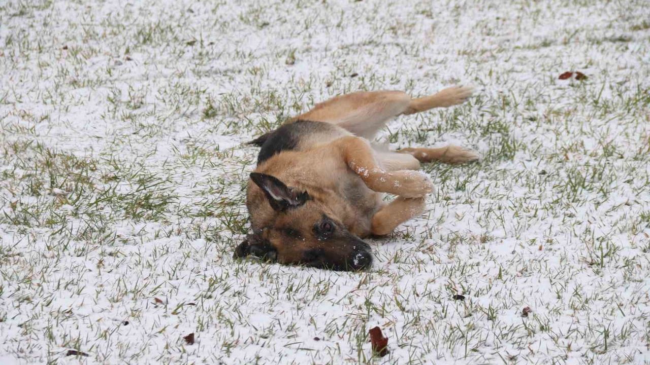 Eskişehir'de yılın son karı kenti beyaza bürüdü