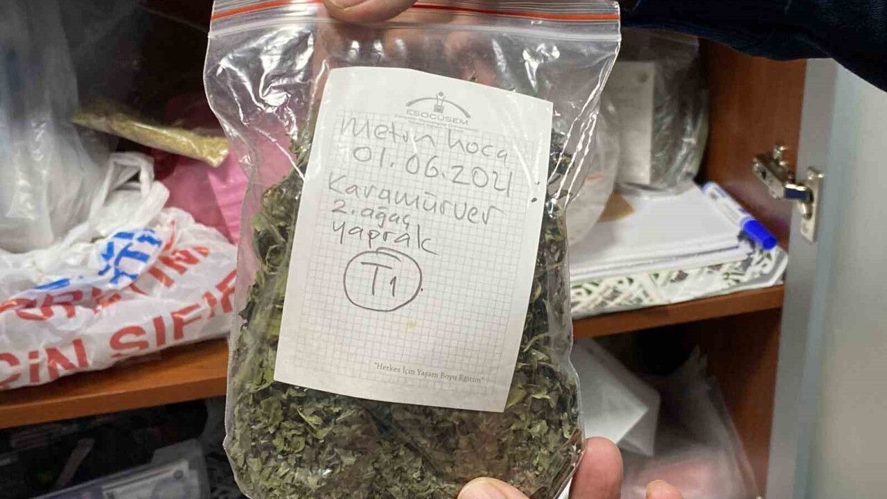 Eskişehir, Türkiye’nin En Zengin Tıbbi Aromatik Bitki Genetik Kaynağı