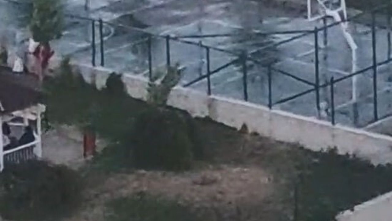 Etimesgut'ta pitbullun iki çocuğa saldırısı — Sahibinin tasmasız ve ağızlıksız gezdirme görüntüleri