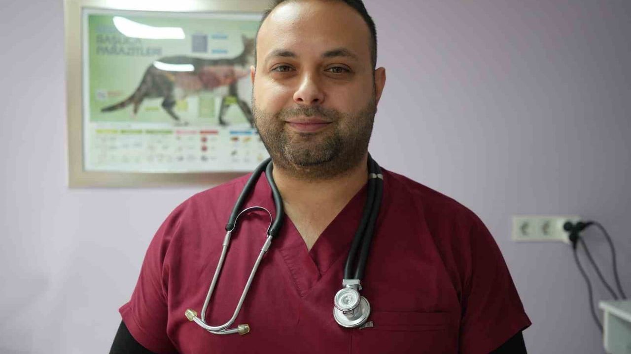 Evcil hayvanlarda mikroçip zorunluluğu: Son tarih 31 Aralık 2025