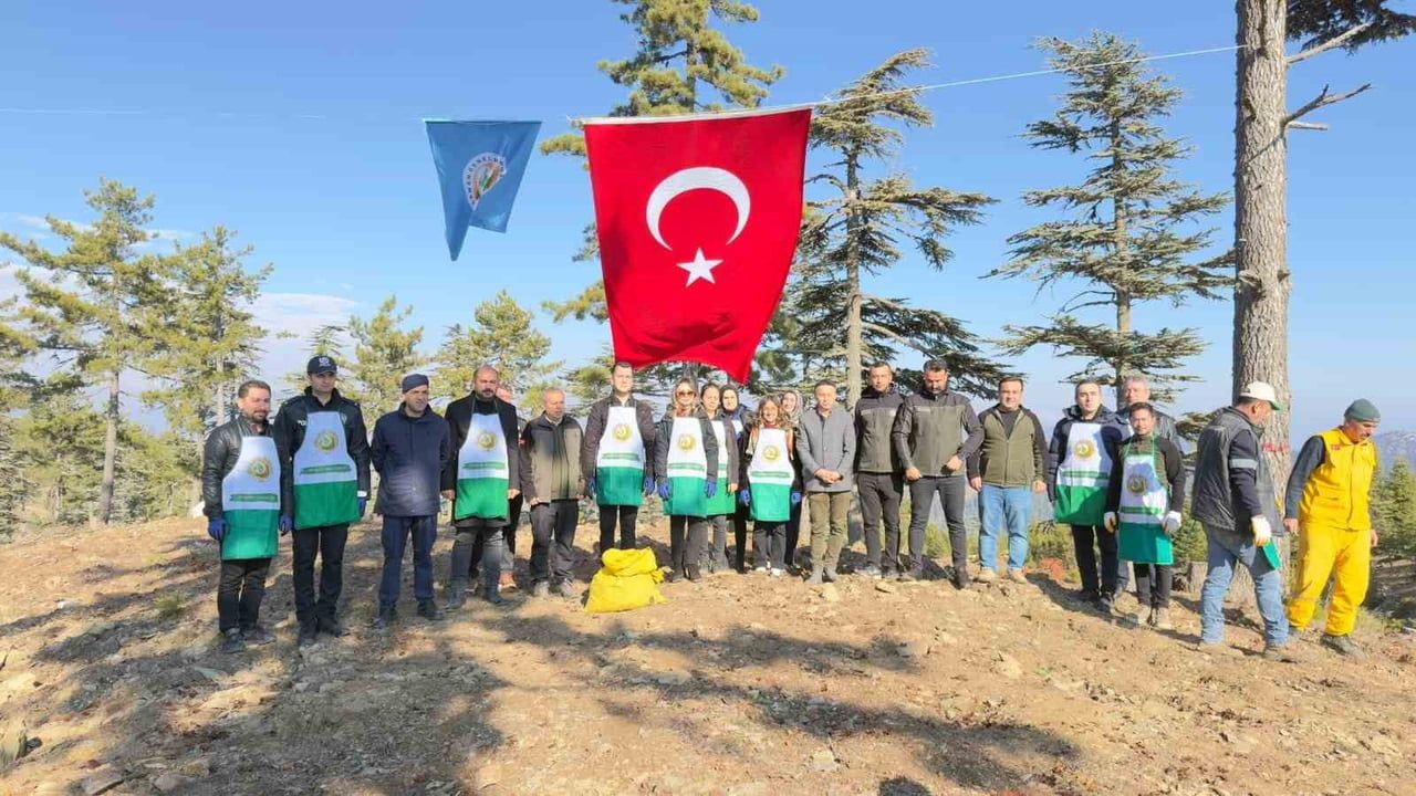 Feke'de Karpelli Sedir Tohumları Toprağa Verildi