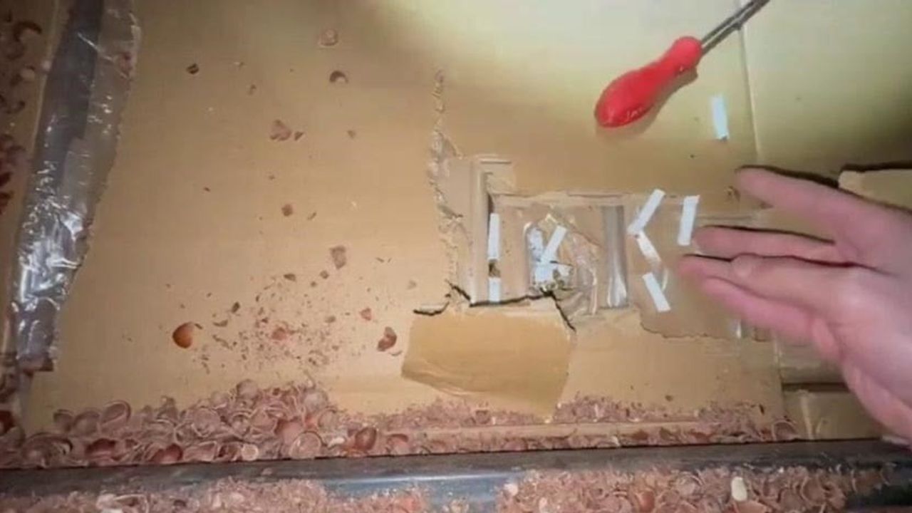 Fındıkla kamufle edilen tırdan 30 milyon liralık kaçak makaron çıktı: 4 gözaltı