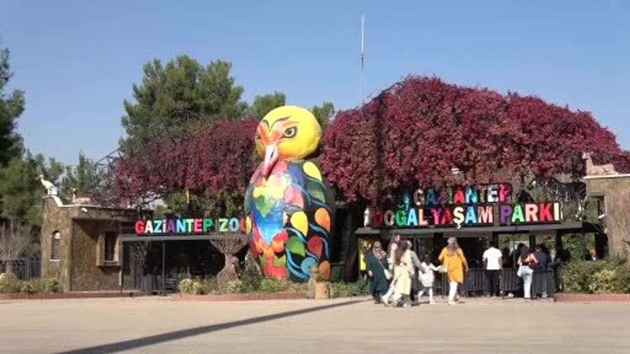 Gaziantep Doğal Yaşam Parkı’nın ünlü zürafası Şakir 32 yaşında vefat etti
