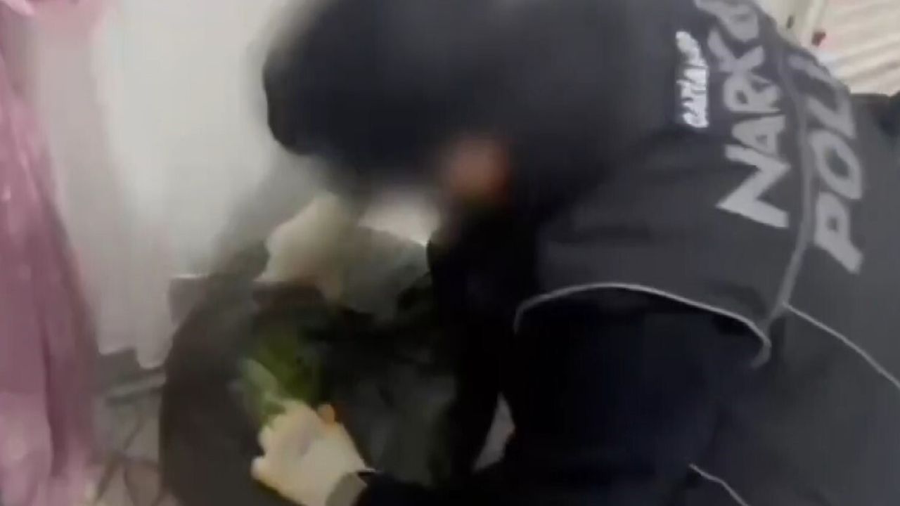 Gaziantep'te 22 kilo 219 gram skunk ele geçirildi, 7 şüpheli gözaltında