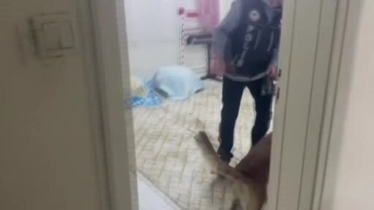 Gaziantep'te 22 kilo 219 gram skunk ve çok sayıda silah ele geçirildi