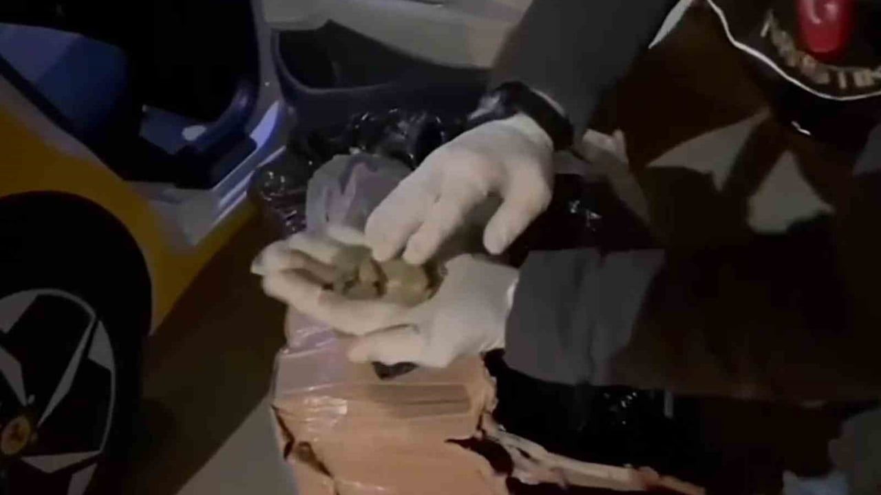 Gaziantep'te Uyuşturucu Operasyonu: 11 Şüpheli Tutuklandı