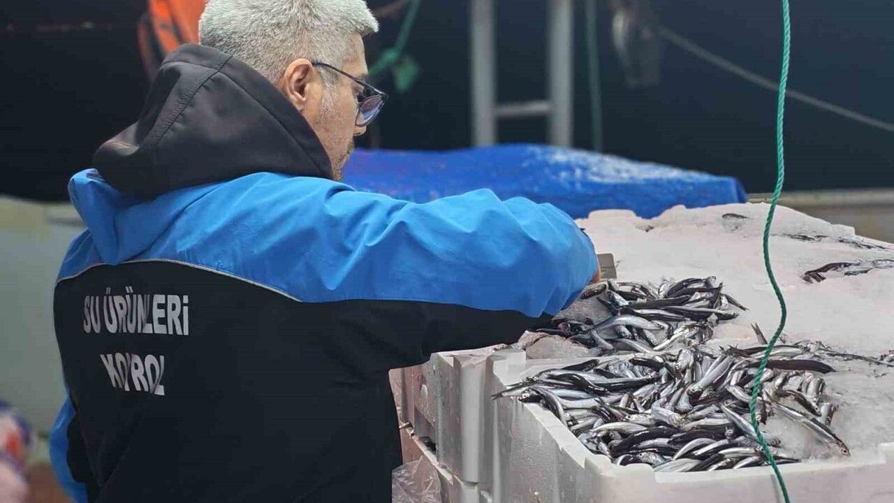 Gelibolu'da 45 kilo vatoza el konuldu, 37 bin 770 lira ceza