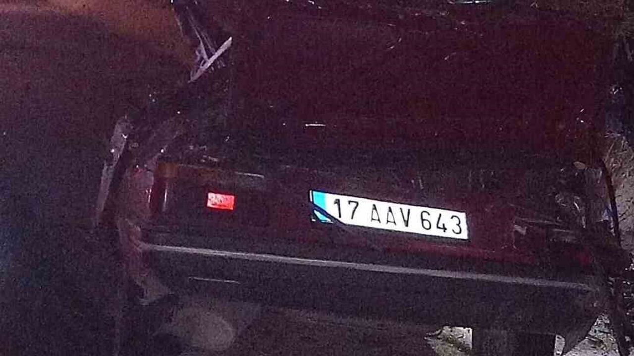 Gelibolu'da otomobil ağaca çarptı: sürücü hayatını kaybetti