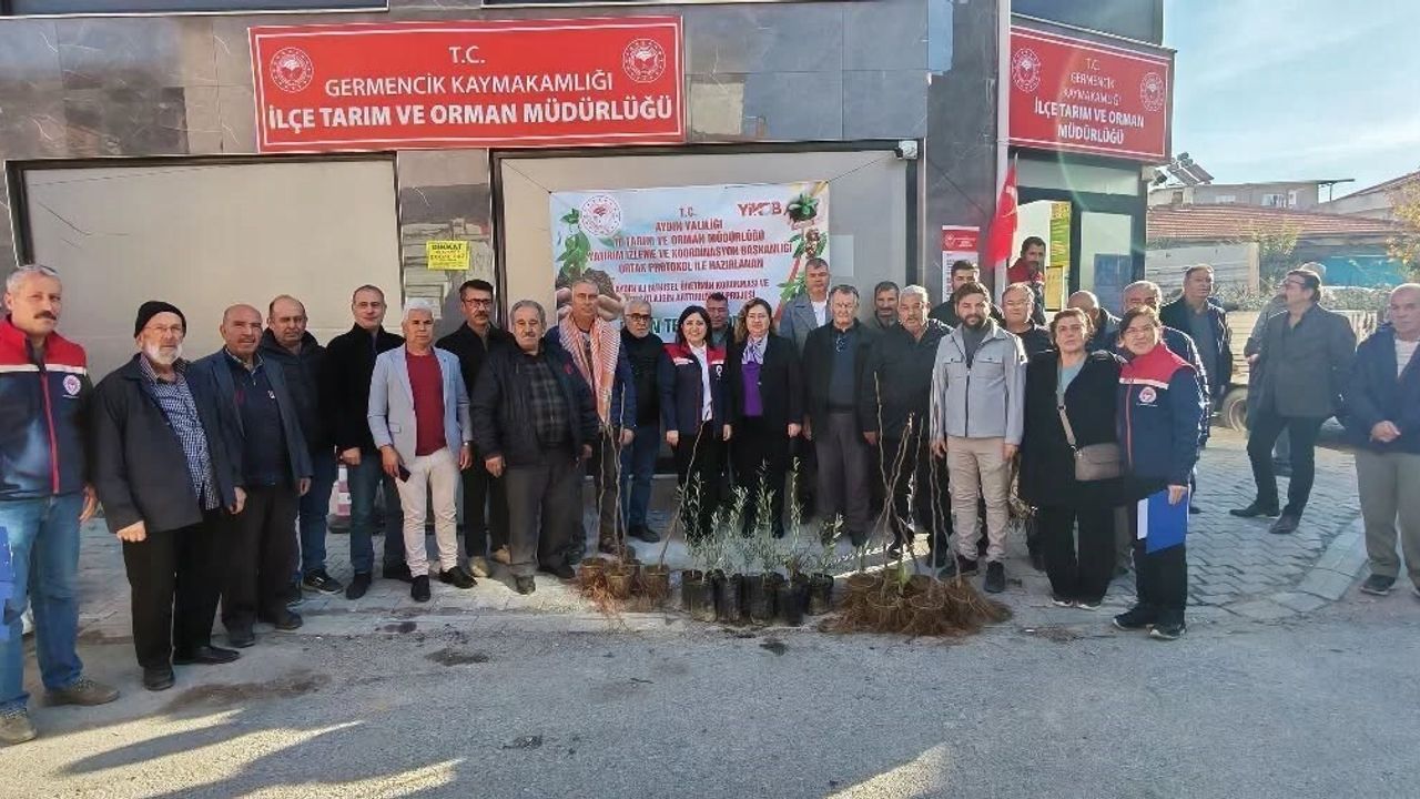 Germencik'te 4 bin sertifikalı fidan üreticilere dağıtıldı