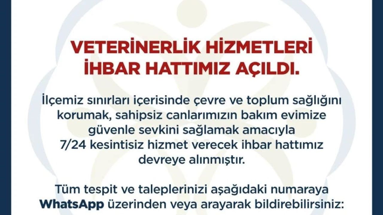 Germencik'te 7/24 Veterinerlik Hizmetleri İhbar Hattı faaliyete geçti