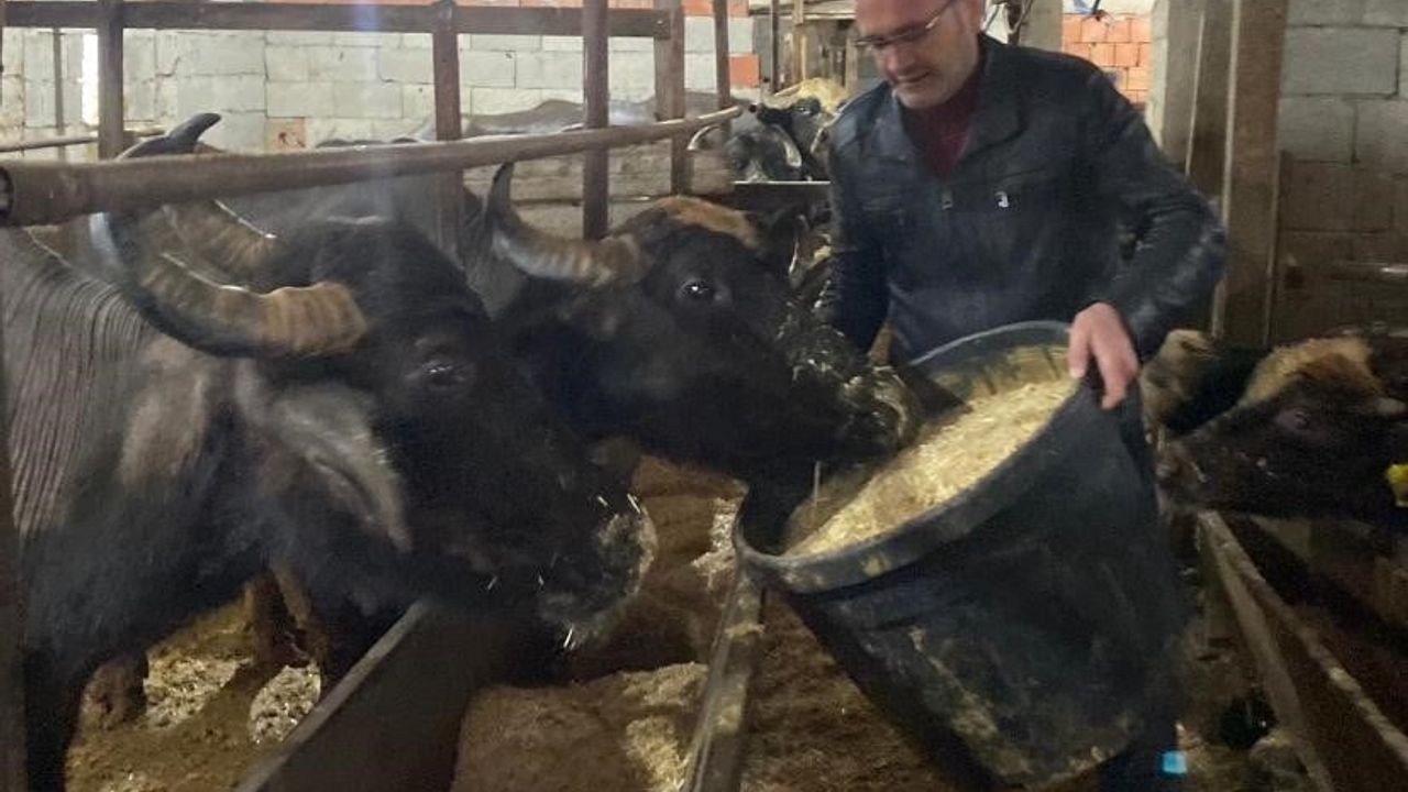 Giresun'da 286 manda işletmesine 12 milyon 305 bin 750 TL destek