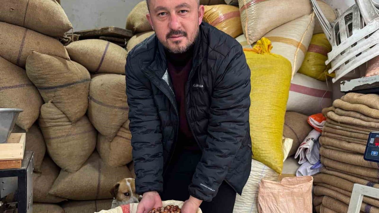Giresun'da fındık fiyatları yılbaşına günler kala yükseldi