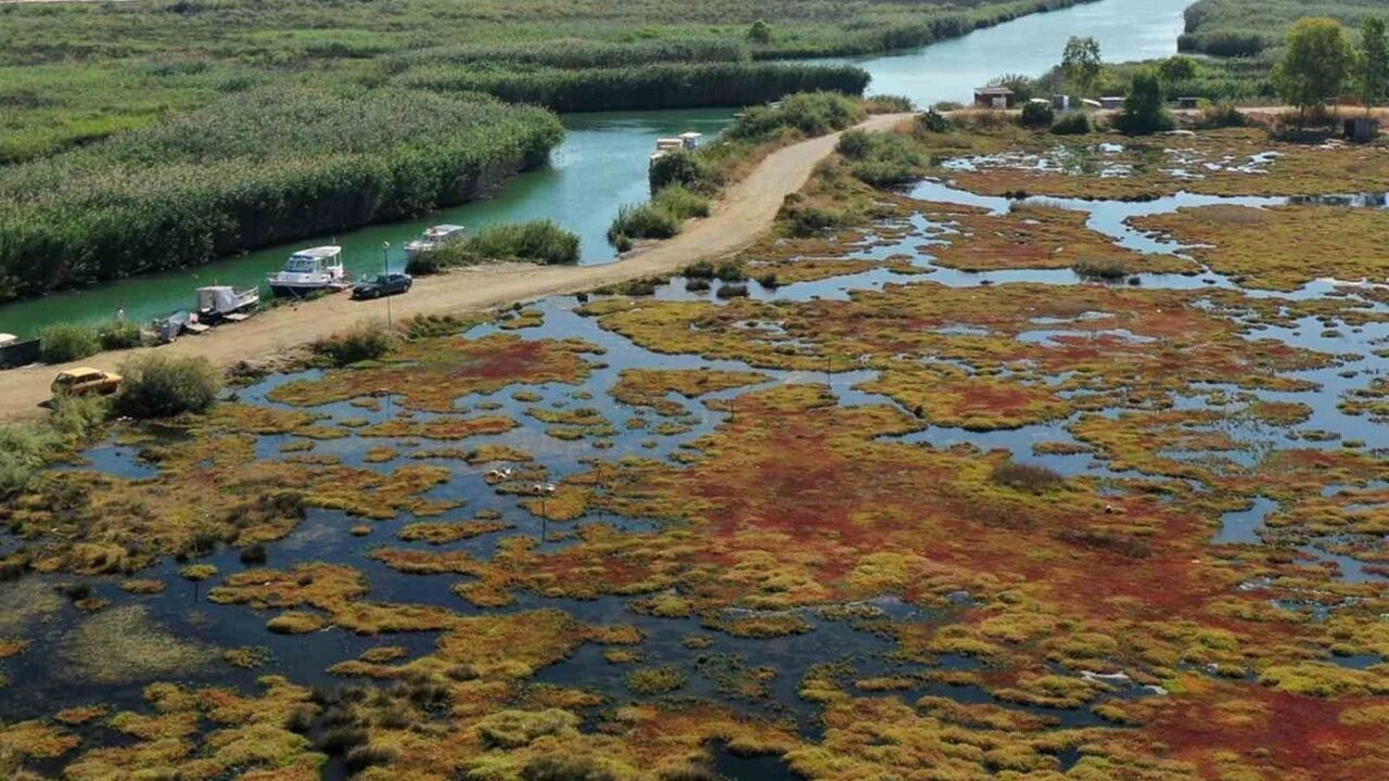 Gökçe Sulak Alanı yeniden canlanıyor: 6 hektarda restorasyon çalışmaları