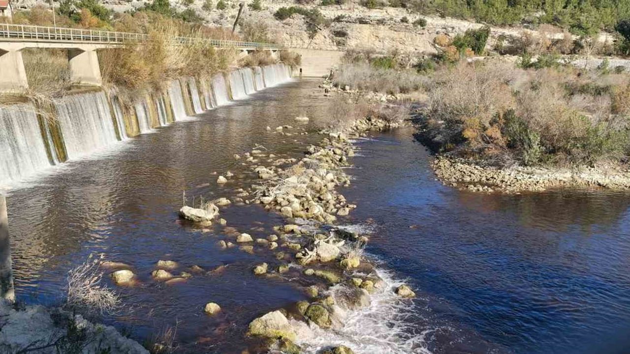 Göksu Nehri siyah aktı: Zeytin atığı şüphesi tekrar gündemde
