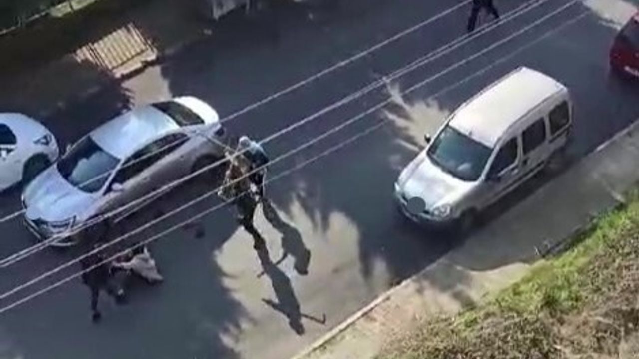 Gölcük'te eski eşini 15 yerinden bıçaklayan sanığın mahkeme savunması: 'Adam olsaydın'