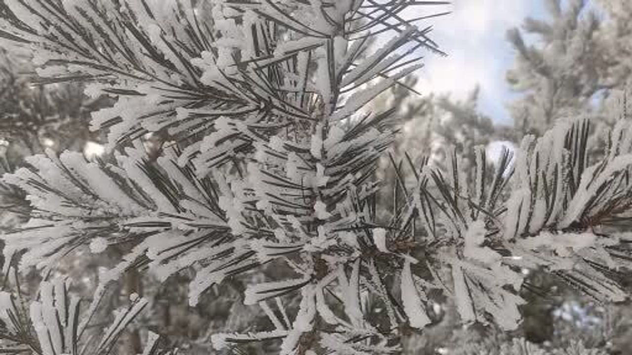 Göle'de gece hava eksi 16 dereceye düştü, ağaçlar kırağıyla kaplandı