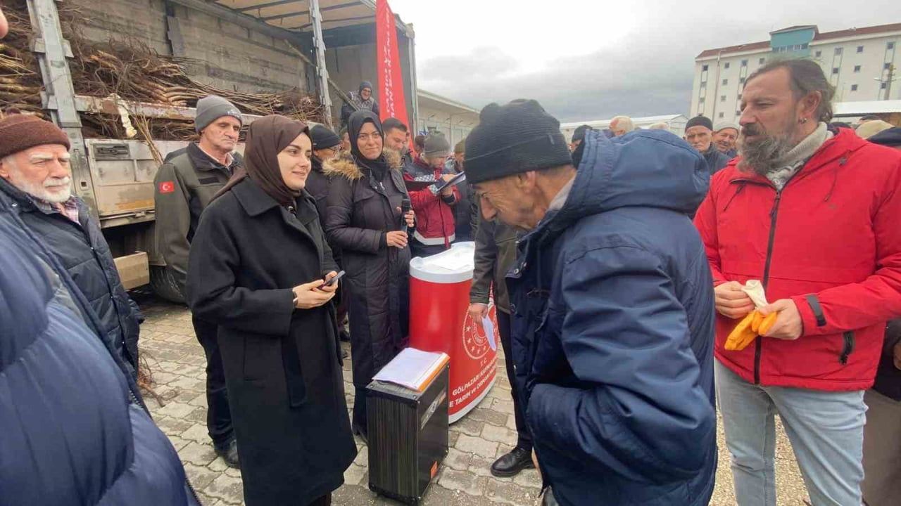 Gölpazarı'nda 143 üreticiye 11 bin meyve fidanı dağıtıldı