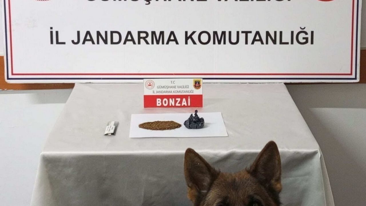 Gümüşhane'de jandarma operasyonunda 2 şüpheli gözaltına alındı