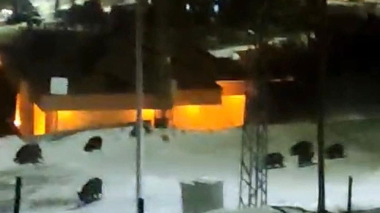 Hacılar merkezine inen 13 domuz kamerada