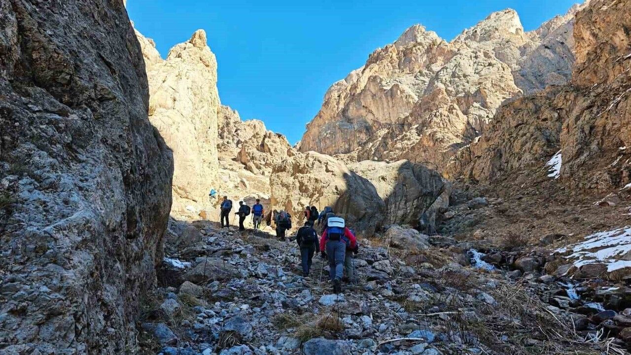 Hakkari'de dağcılar Gene Zor Tepesi'nde nesli tehlikedeki gelinciği belgeledi