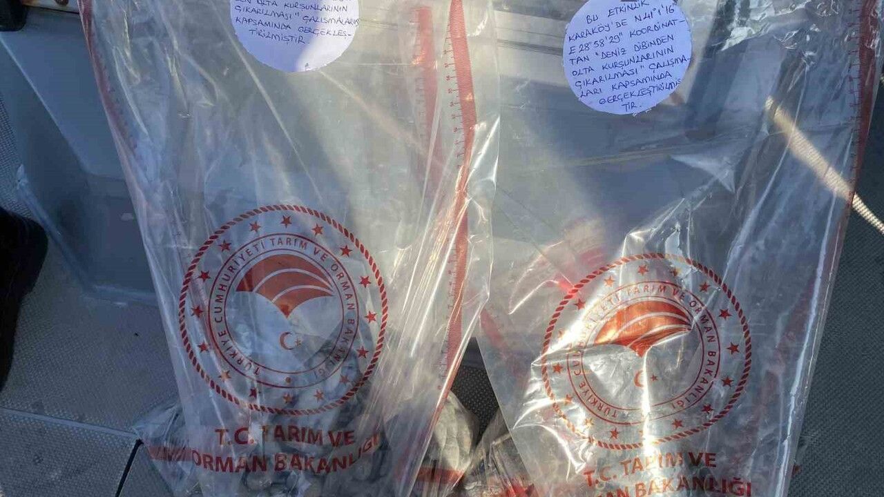 Haliç’te 33 kilogram olta kurşunu çıkarıldı