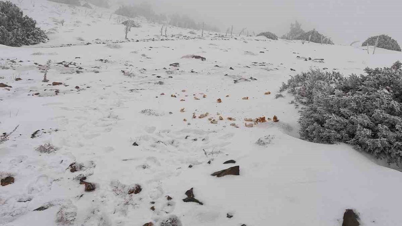Halkapınar'da kar örtüsü 15 santimetreye ulaştı