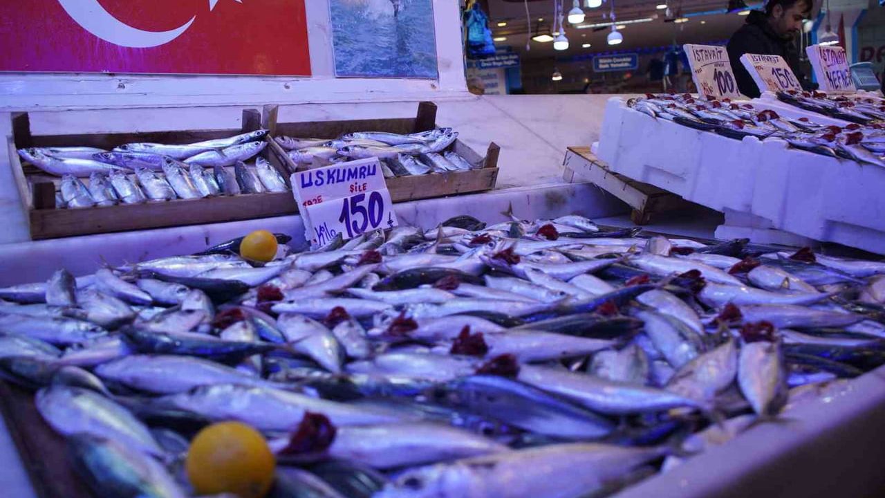 Hamsi yerini istavrite bıraktı: Sakarya tezgahlarında istavrit bolluğu