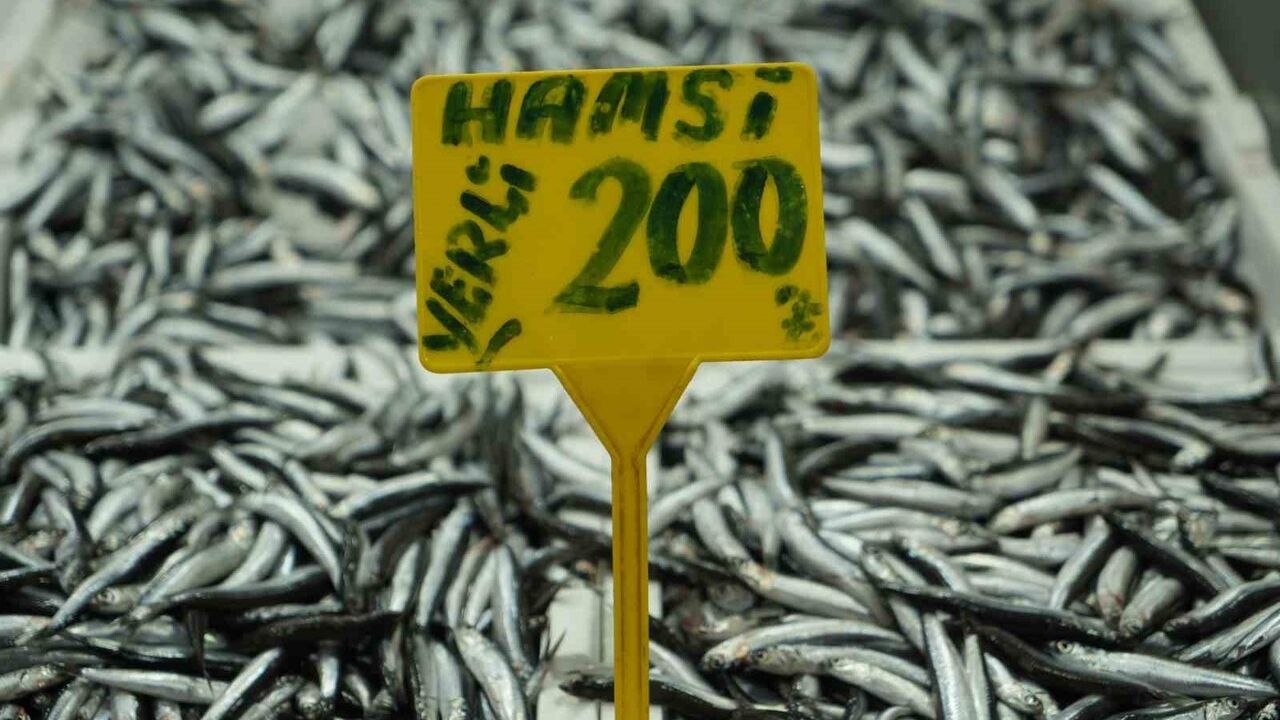 Hamside bolluk geriledi, fiyat 200 TL'ye çıktı