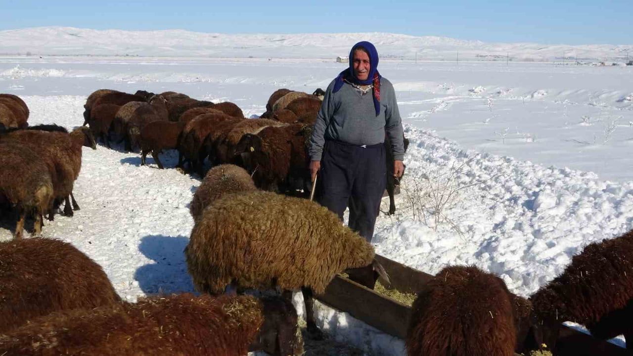 Hasköy'de besicilerin kış mesaisi: karla mücadele sürüyor