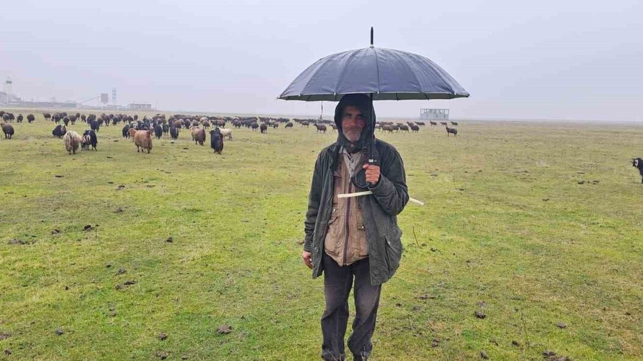 Hasköy'de mevsim normallerinin üzerindeki sıcaklık besicileri sevindirdi