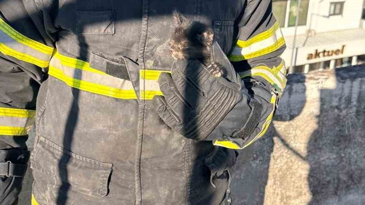 Hatay Arsuz'da havalandırma boşluğundan kurtarılan yavru kedi