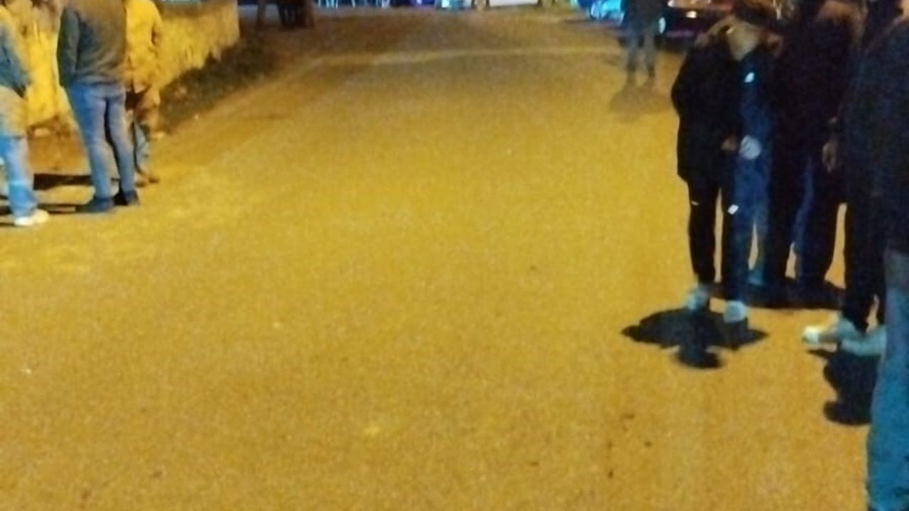 Hatay'da baltayla öldürülen kadının kimliği: Meliha S.