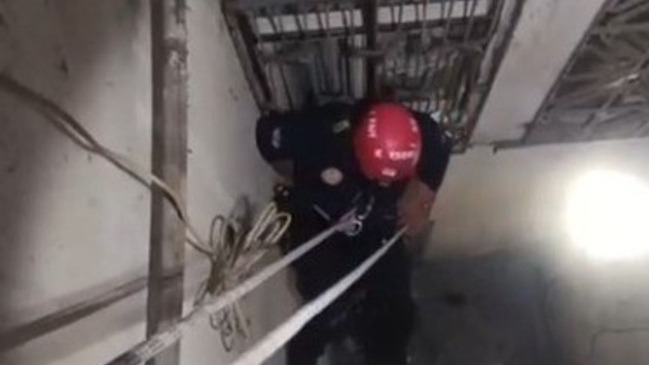 Havalandırma Boşluğuna Düşen 'Tofu' Adlı Kedi İtfaiye Tarafından Kurtarıldı