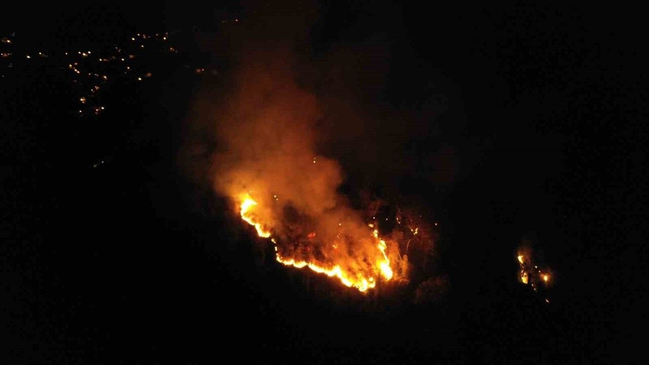 Hopa'da orman yangını kontrol altına alındı