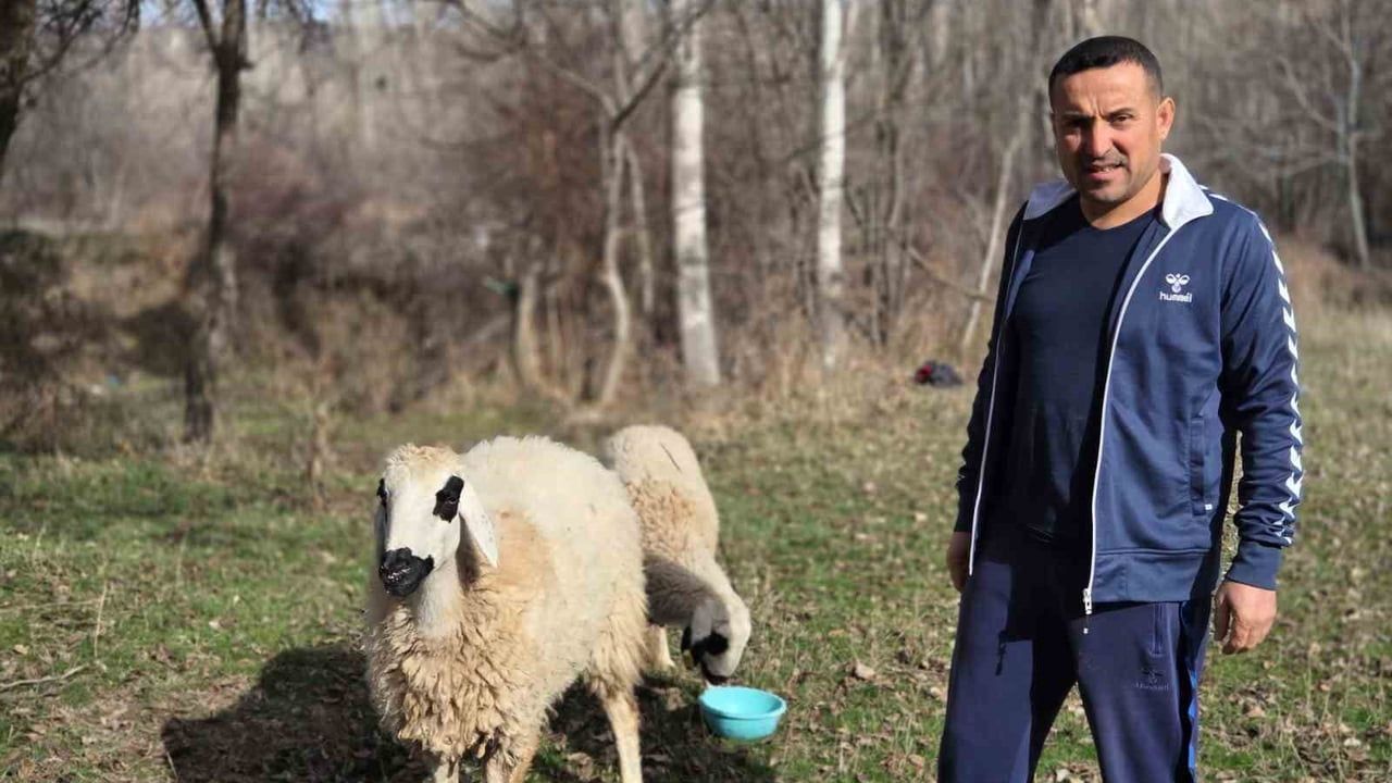 İki Koyunla Antrenörlük Yapan Emekli: Erol Önal'ın Hikayesi