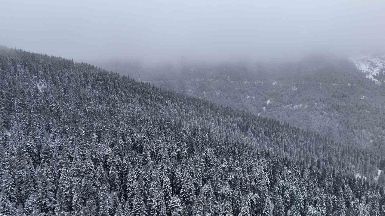 Ilgaz Dağı'nda kartpostallık kar manzaraları