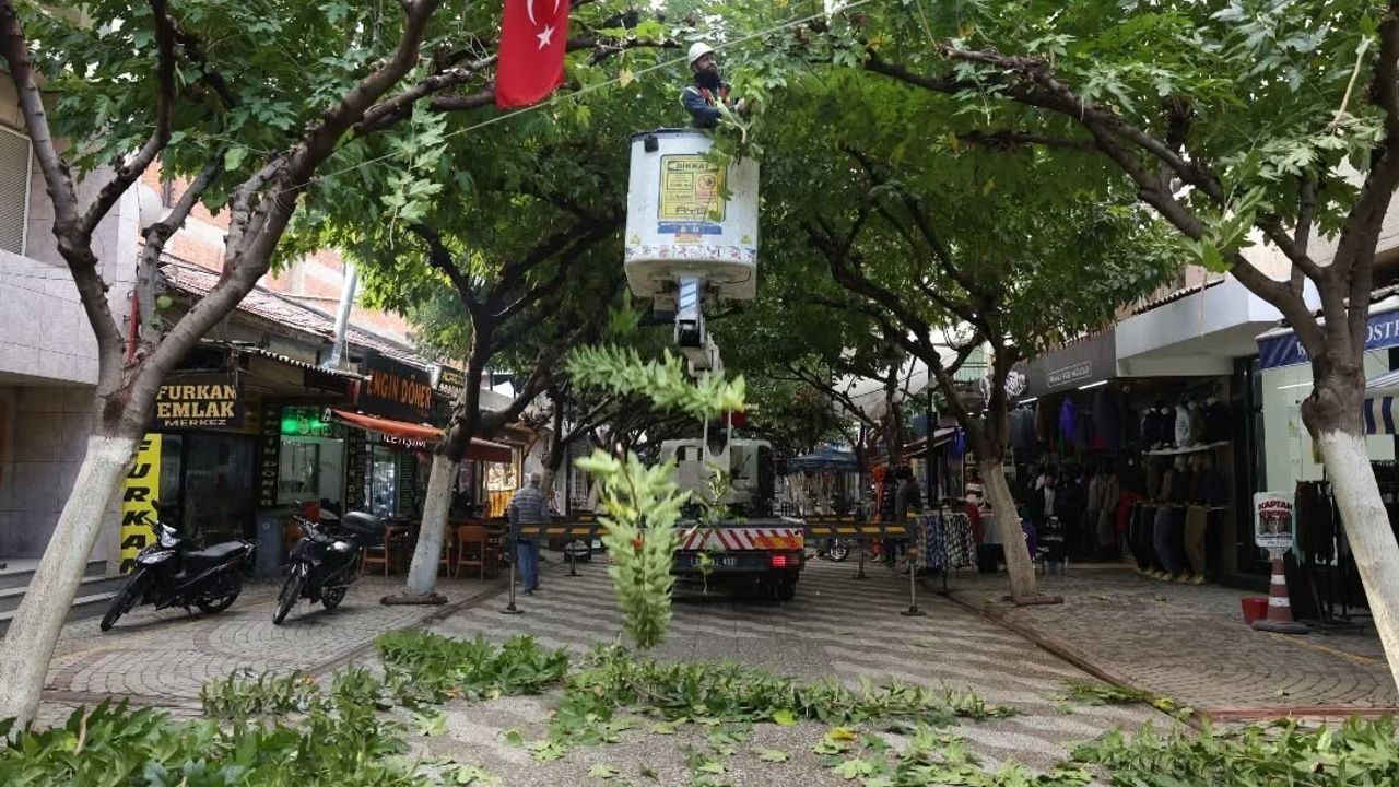 İncirliova Sevgi Yolu'nda ağaç bakımı ve çevre temizliği