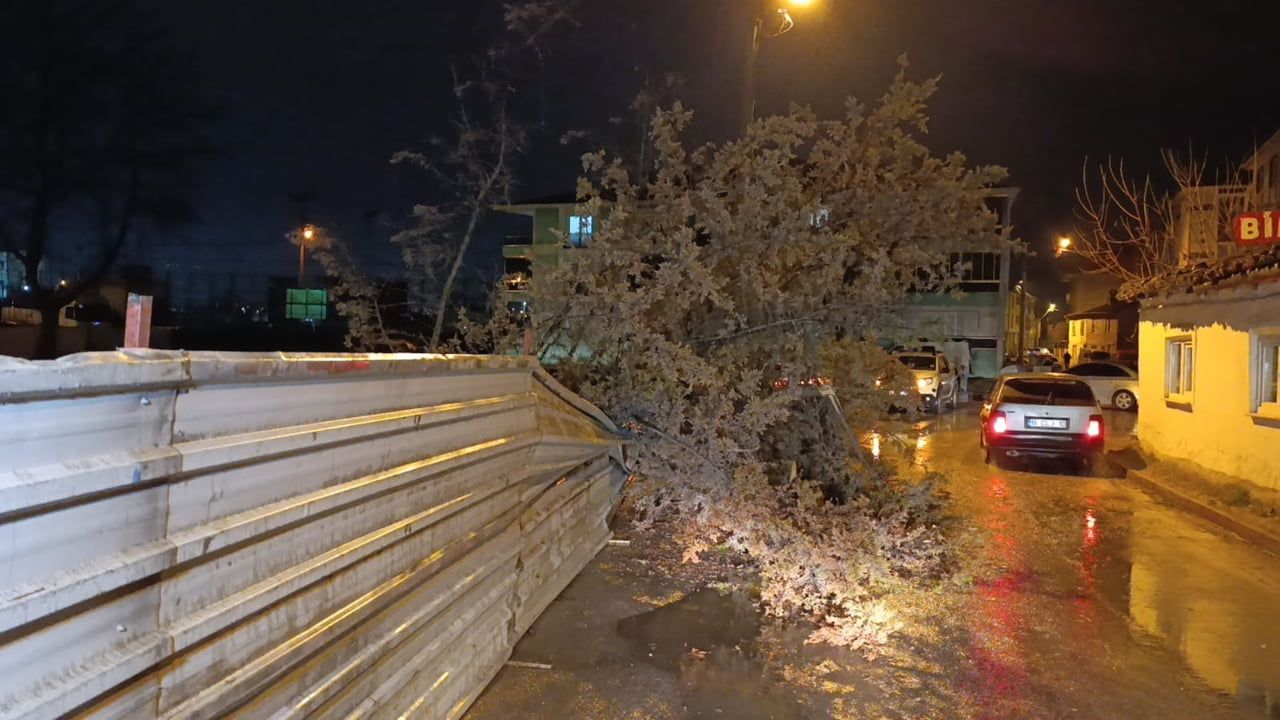 İnegöl'de inşaat alanından yola devrilen ağaç