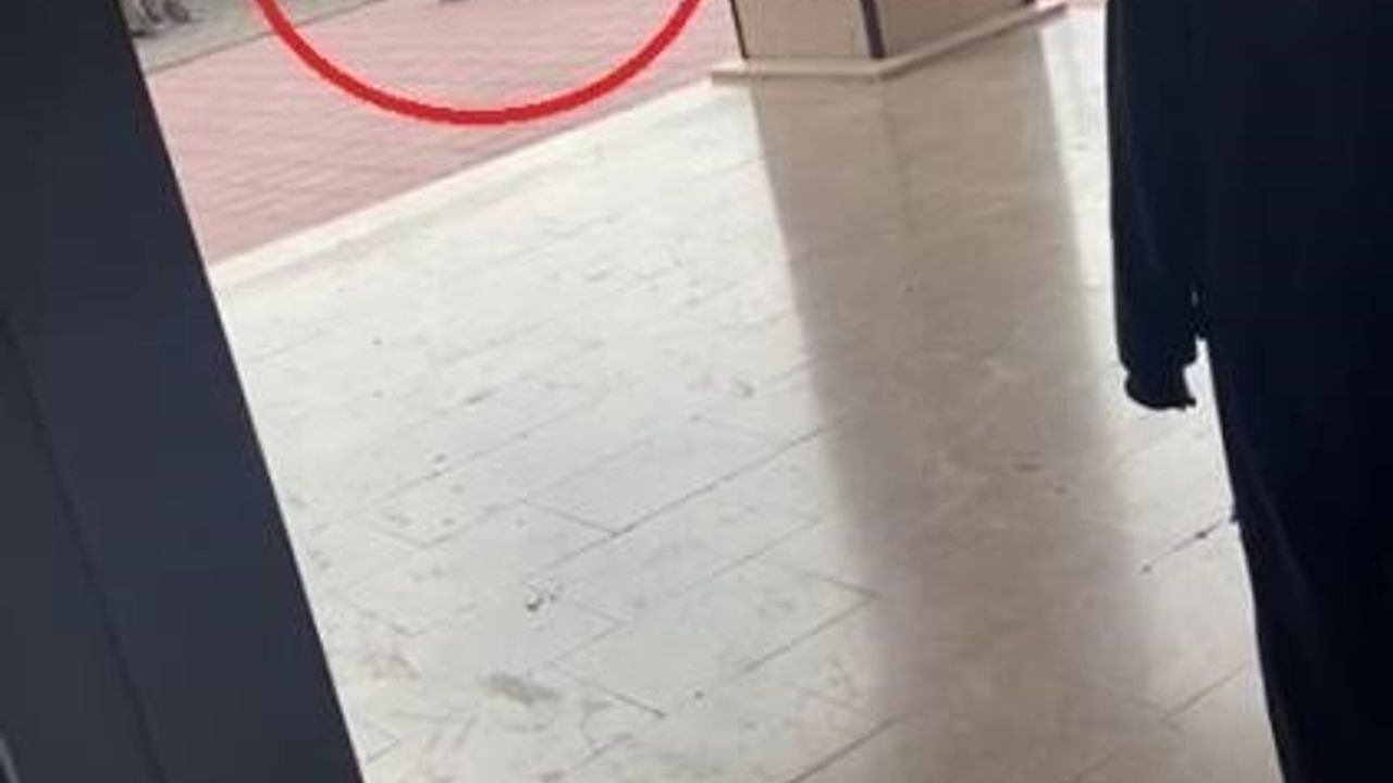 İnegöl’de okul müdürü, 11 yaşındaki öğrenciyi okulda darp etti