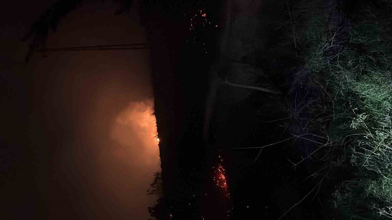 İskenderun'da otluk yangını kontrol altına alındı