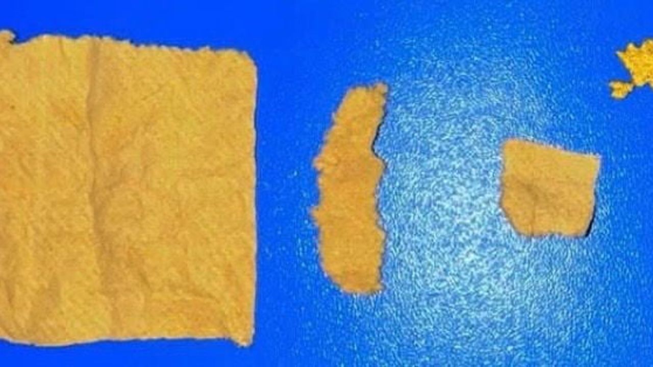 Isparta'da yunus timleri uyuşturucu denetimi: 2 şüpheliye adli işlem