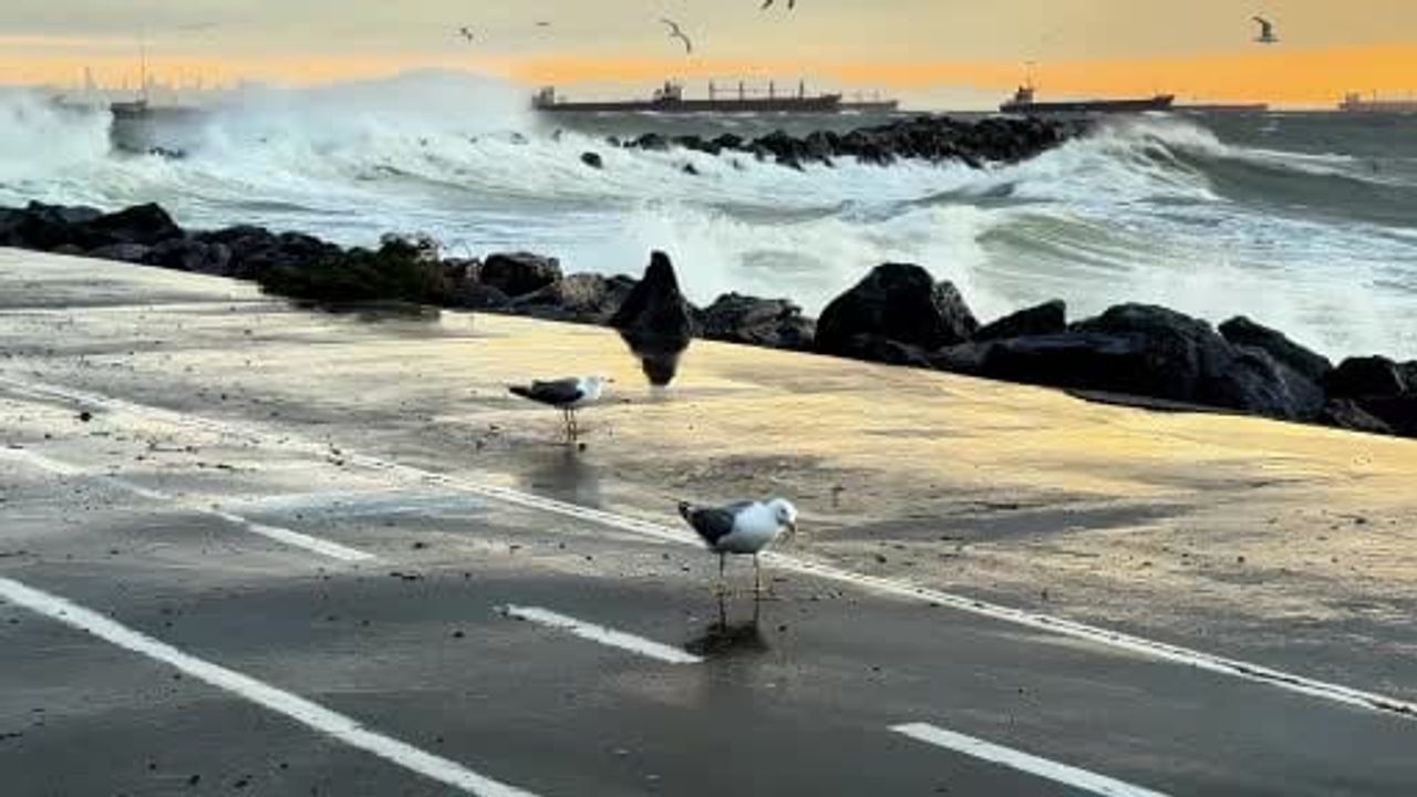 İstanbul'da vapur seferleri fırtına nedeniyle iptal edildi