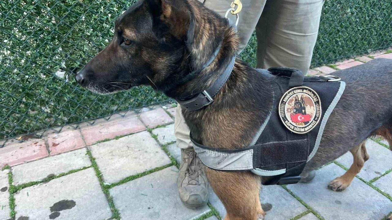 İzmir'de tek operasyonda 3 milyon 166 bin 874 sentetik ecza ele geçirildi