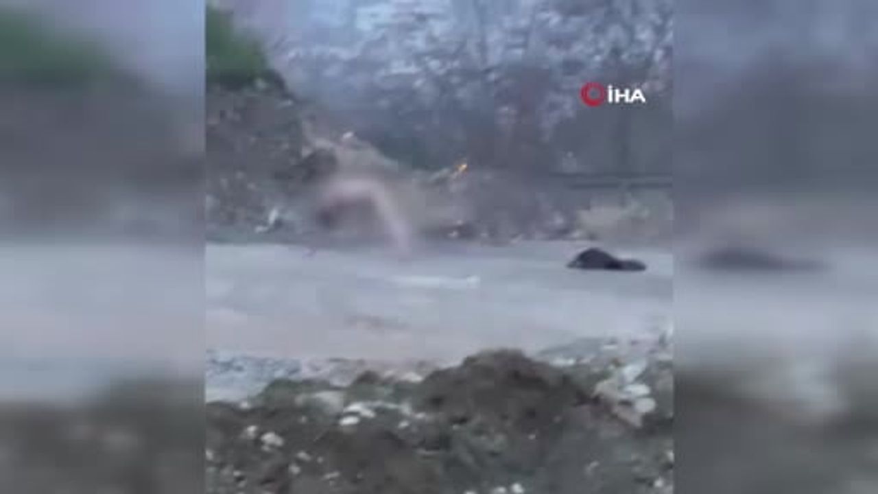 İzmit'te köprü altında çıplak şahıs polis tarafından kontrol altına alındı