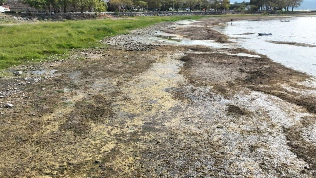 İznik Gölü kuruyor: Cargill’in yeraltı suyu kullanımı tartışma yarattı