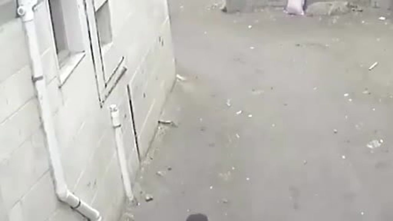 Kafr el-Şeyh'te kuzenini koruyan çocuğun kaçırılma anındaki direnişi gündem oldu