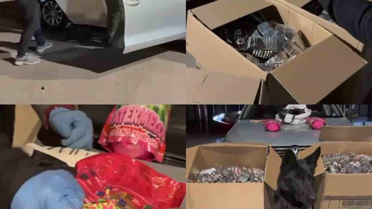 Kahramanmaraş'ta 170 bin uyuşturucu hap ele geçirildi, 2 kişi tutuklandı