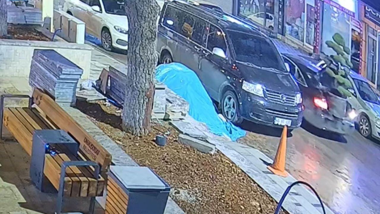 Kahramanmaraş'ta parktan büyük saksıdaki ağacı araçla çaldılar