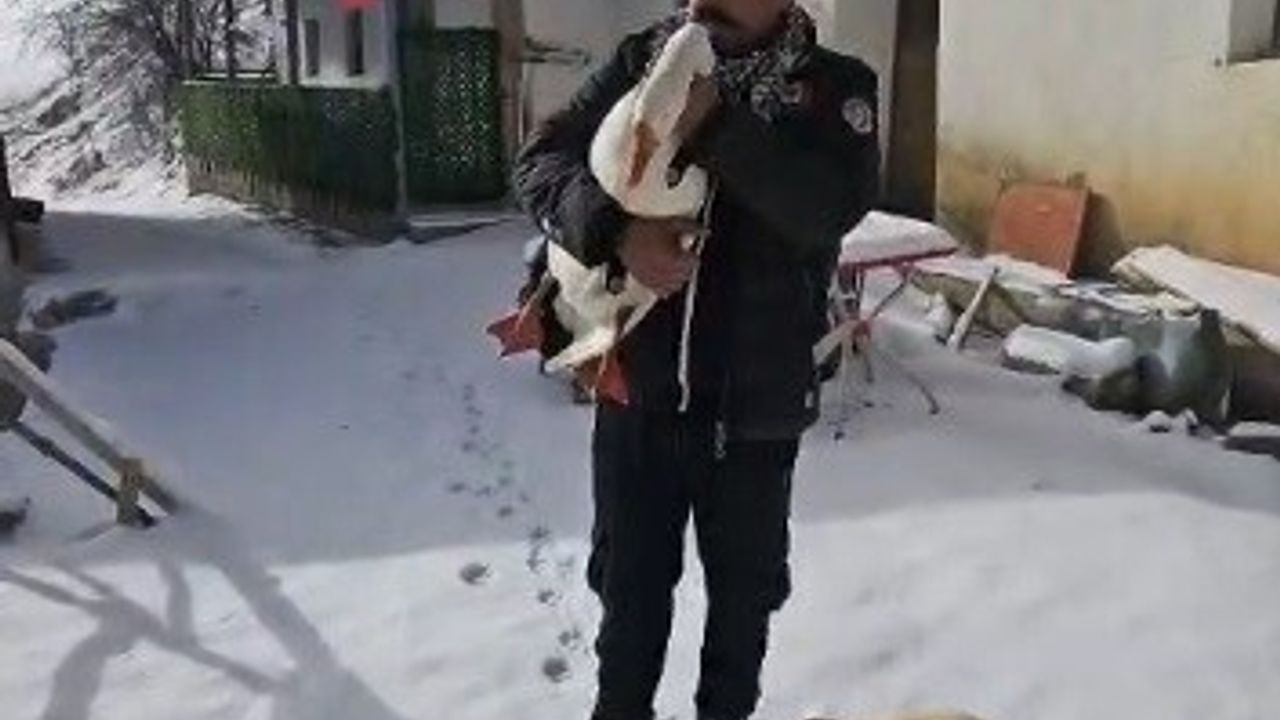 Kamberağa Köyünde Kazdan Helallik Anı Kamerada