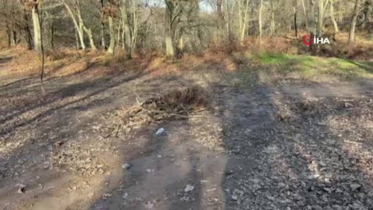 Kapıdağ'da kayıp Elif Kumal için seferberlik: Dalgıçlar gölette su altı araması başlattı